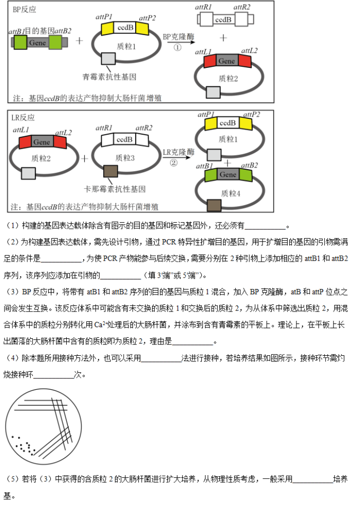 湖南省邵阳武冈市2026高三(11月)期中生物真题以及答案