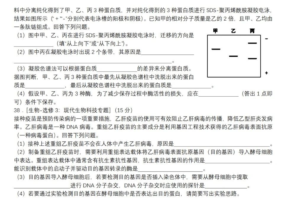 2026全国甲卷高考理综生物真题试卷