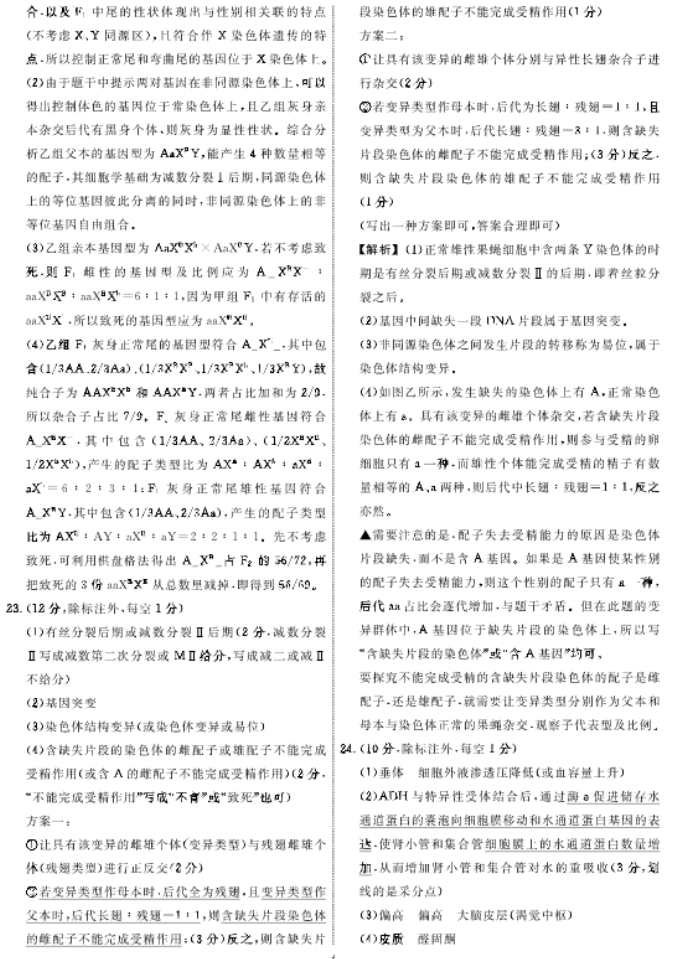 辽宁名校2026年高三12月份联考生物试卷以及答案