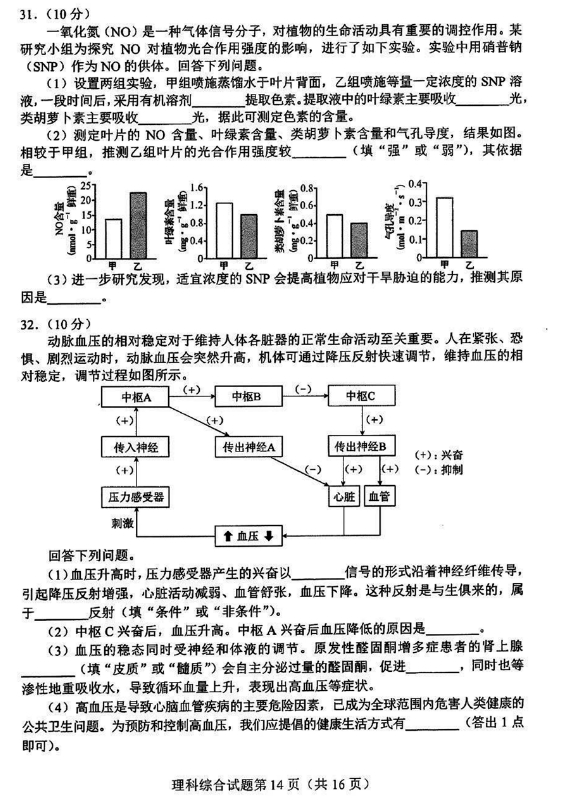 2026新高考九省联考理综试题打印