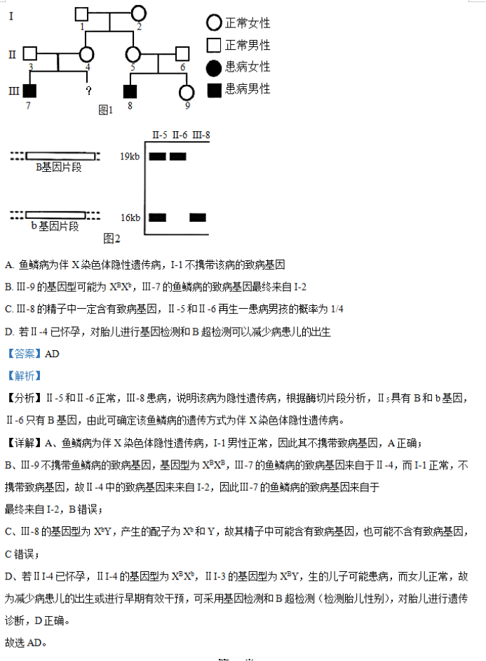 2026年湖南省邵阳武冈市高三(11月)期中生物试卷附答案解析
