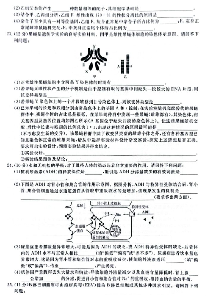 辽宁省名校联盟2026届高三12月联考生物真题与答案