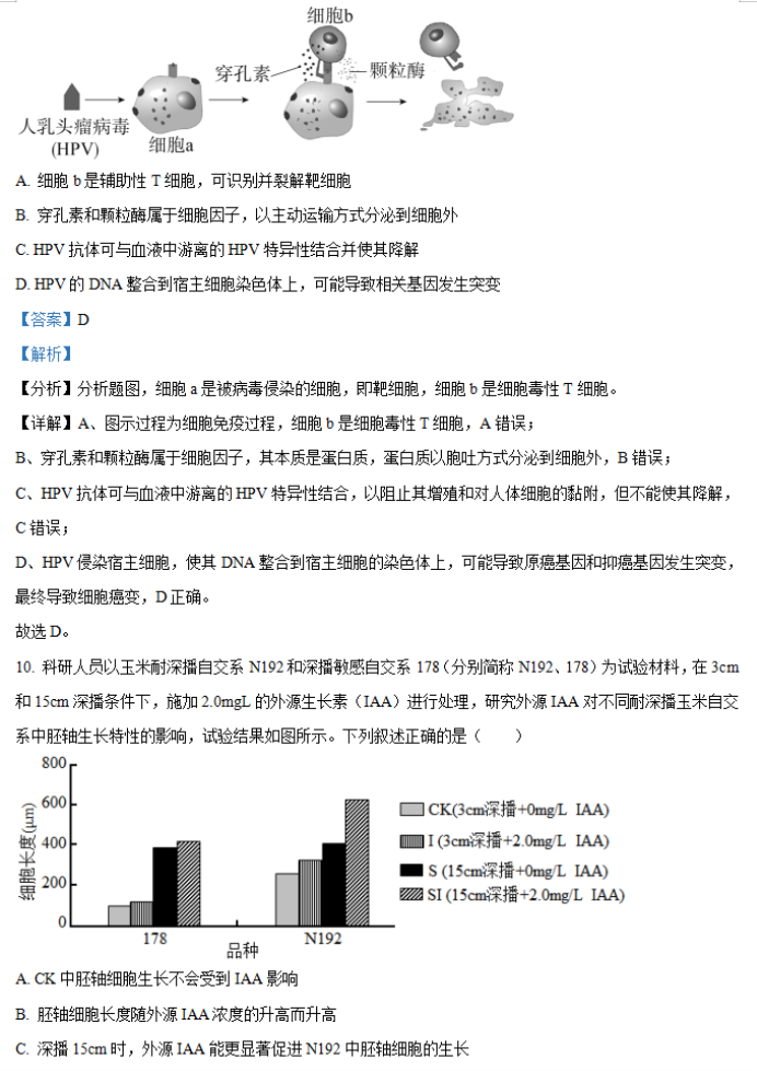 2026年湖南省邵阳武冈市高三(11月)期中生物试卷附答案解析