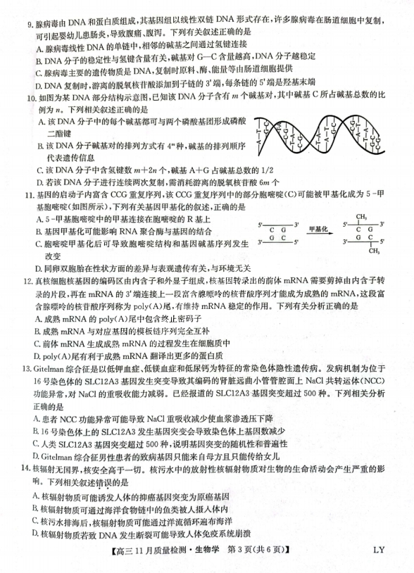 2026九师联盟学年高三11月质量检测生物试题