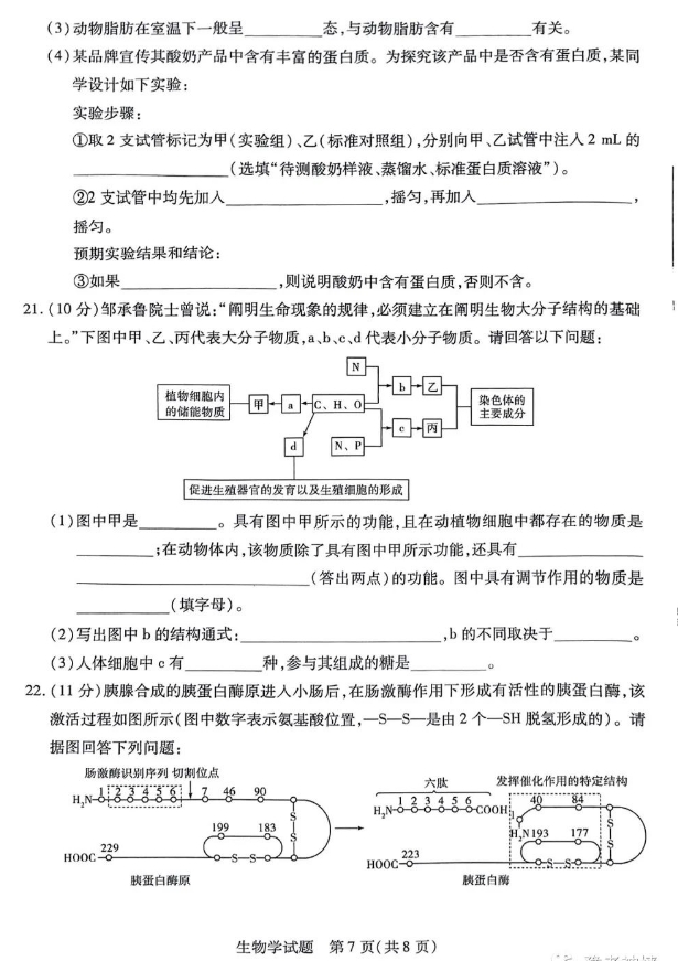河南天一大联考2026-2026学年高一上学期期中考生物试题及答案