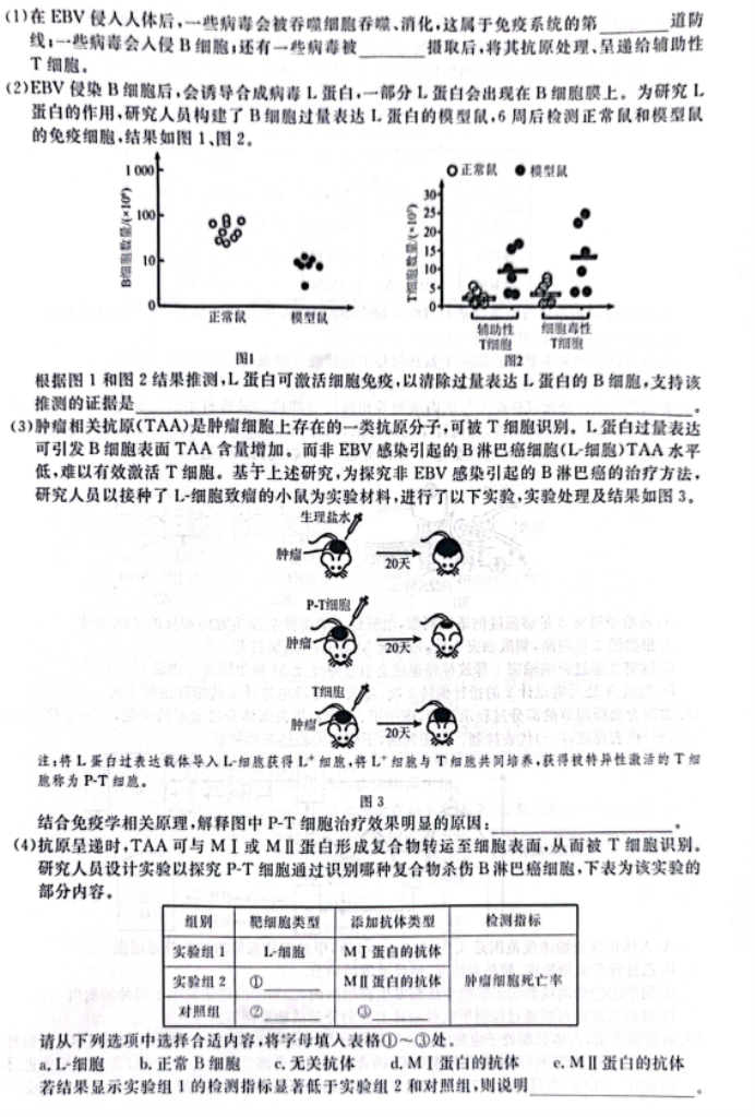 辽宁省名校联盟2026届高三12月联考生物真题与答案