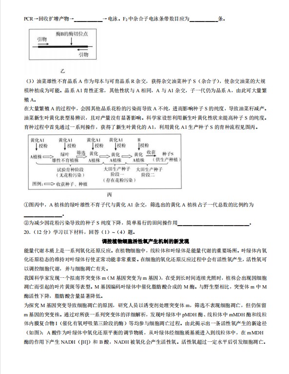 2026年北京卷高考生物真题免费
