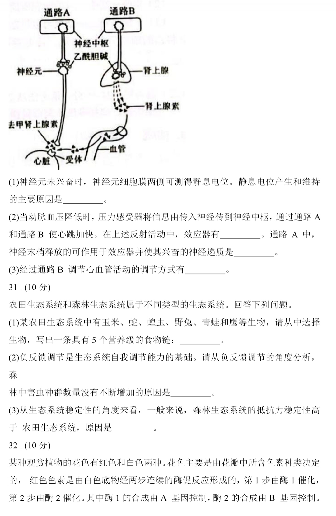 2026年陕西高考生物真题试卷