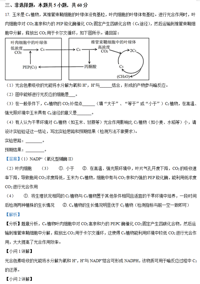 湖南省邵阳武冈市2026高三(11月)期中生物真题以及答案