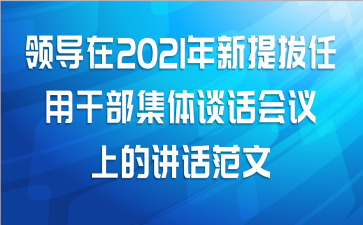 领导在2021年新提拔任用干部集体谈话会议上的讲话范文
