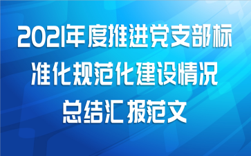 2021年度推进党支部标准化规范化建设情况总结汇报范文