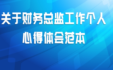 关于财务总监工作个人心得体会范本