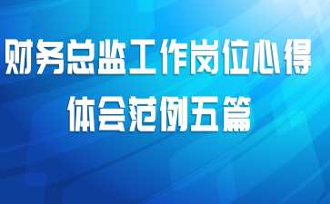 财务总监工作岗位心得体会范例五篇