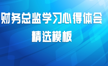 财务总监学习心得体会精选模板