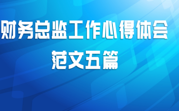 财务总监工作心得体会范文五篇