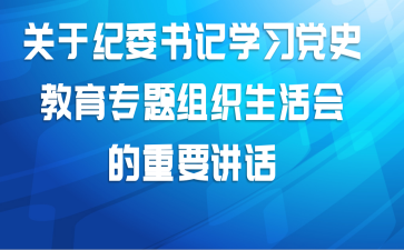 关于纪委书记学习党史教育专题组织生活会的重要讲话