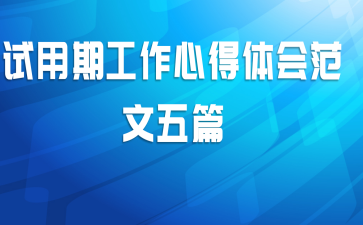 试用期工作心得体会范文五篇