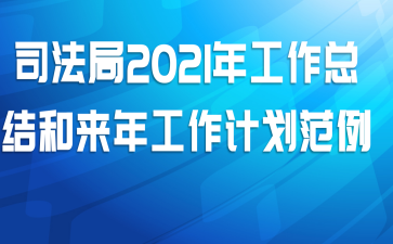 司法局2021年工作总结和来年工作计划范例