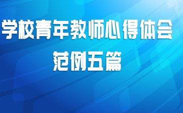 学校青年教师心得体会范例五篇
