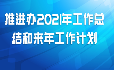 推进办2021年工作总结和来年工作计划