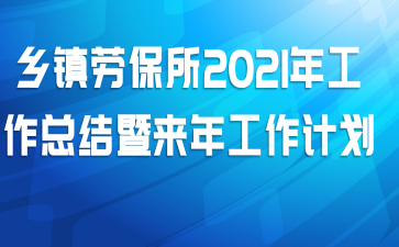 乡镇劳保所2021年工作总结暨来年工作计划