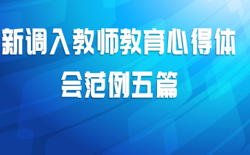 新调入教师教育心得体会范例五篇