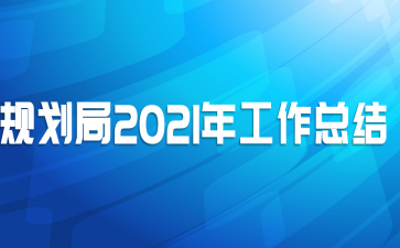 规划局2021年工作总结