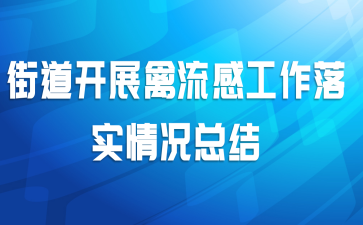 街道开展禽流感工作落实情况总结
