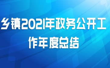 乡镇2021年政务公开工作年度总结