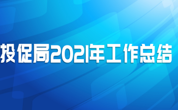 投促局2021年工作总结