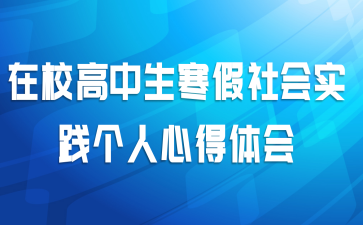在校高中生寒假社会实践个人心得体会