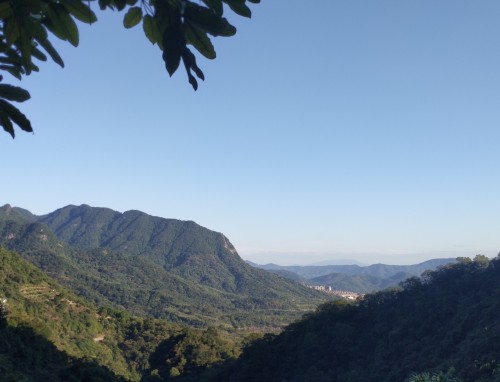 2023山东省高校开学返校时间安排大全